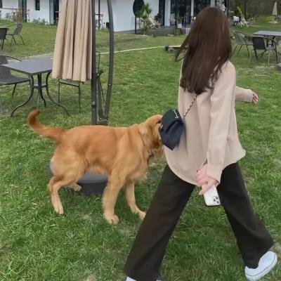 艾莲妹妹
